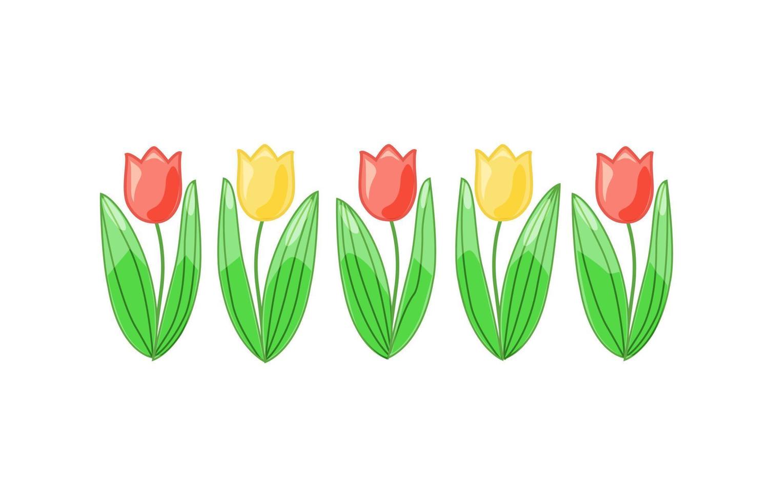 niedliche Vektortulpen auf weißem Hintergrund. für Dekoration, Postkarten und Illustrationen. vektor