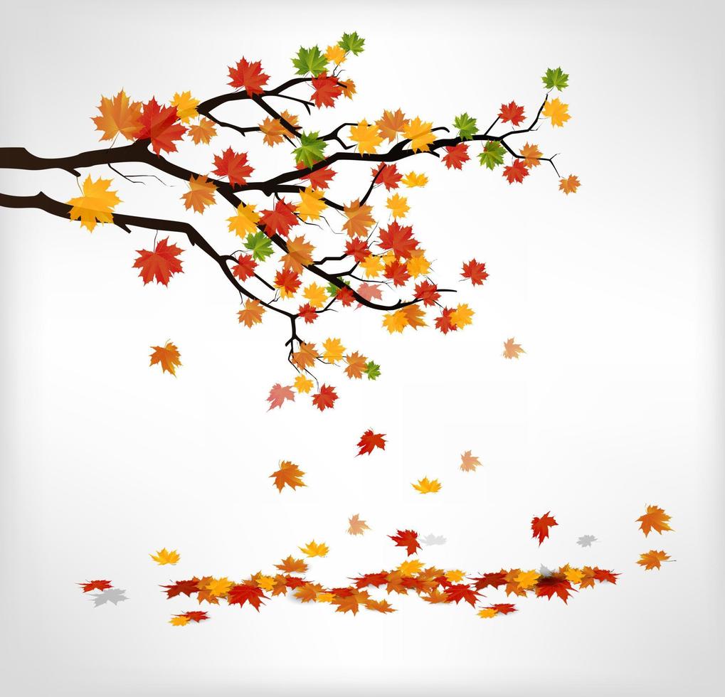 hösten gren med fallande löv vektor