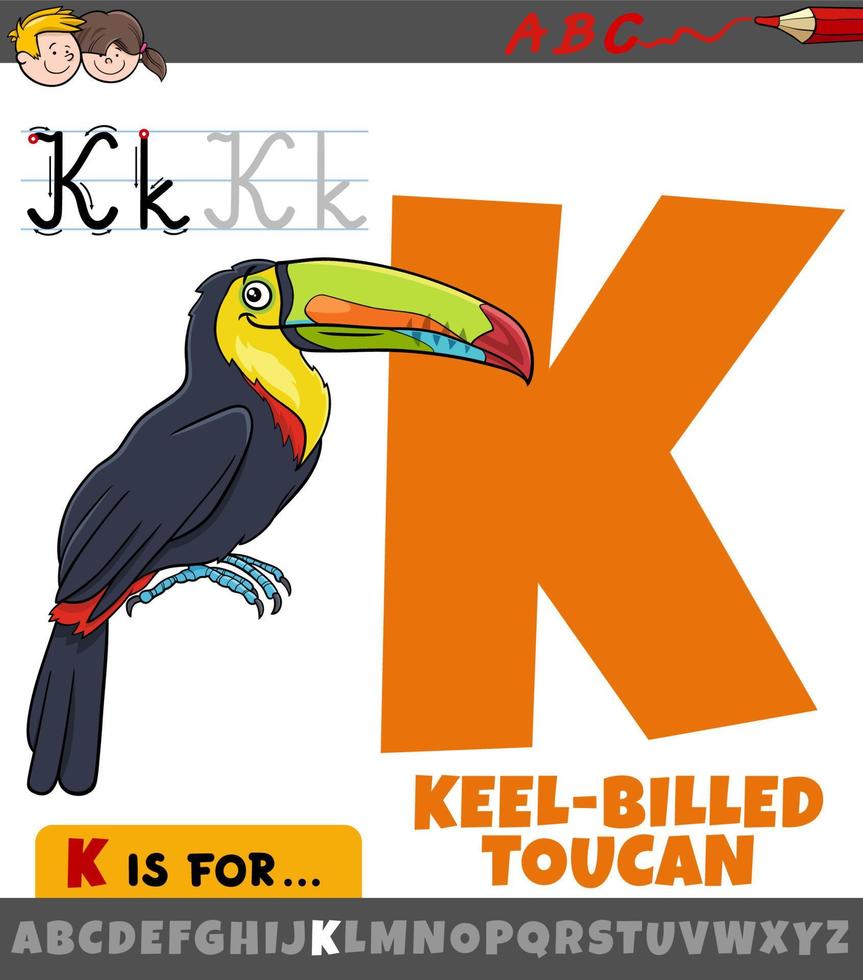 bokstaven k från alfabetet med tecknad köl fakturerad tukan vektor