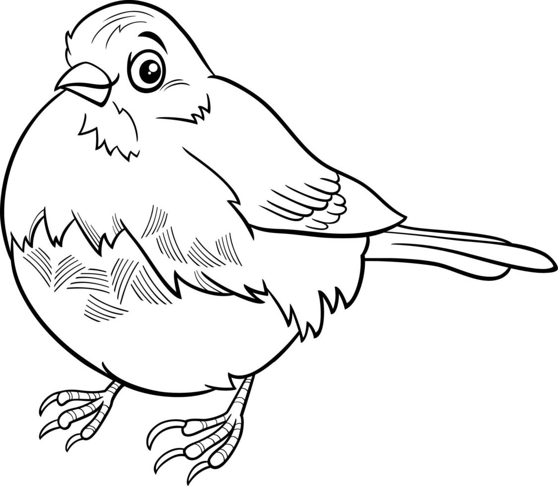 tecknad junco fågel djur karaktär målarbok sida vektor