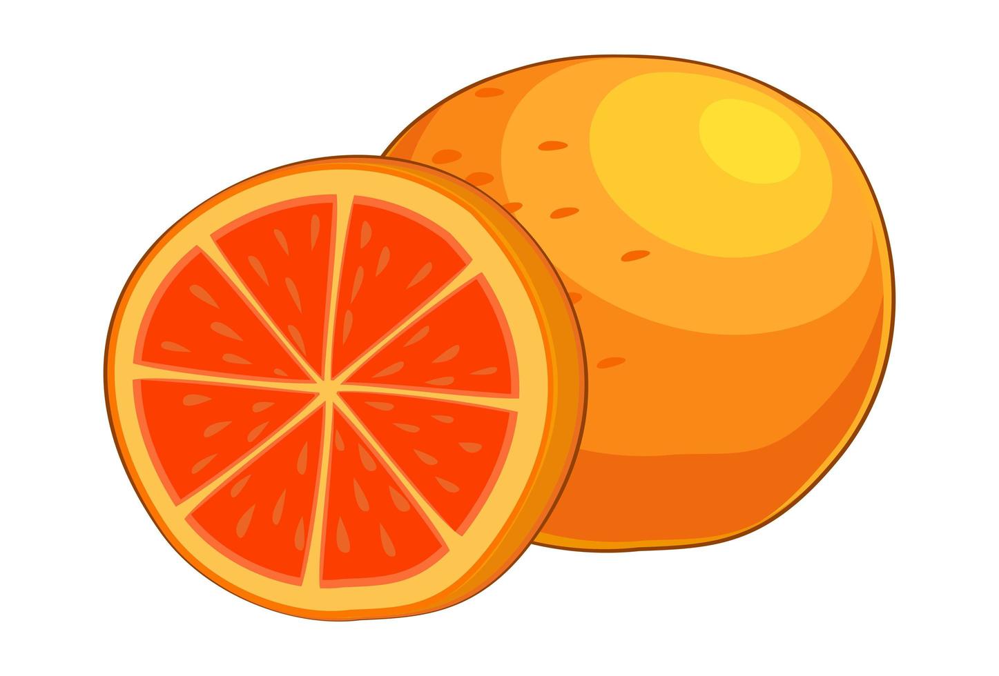 realistische frische reife Orange isoliert auf weißem Hintergrund - Vektor