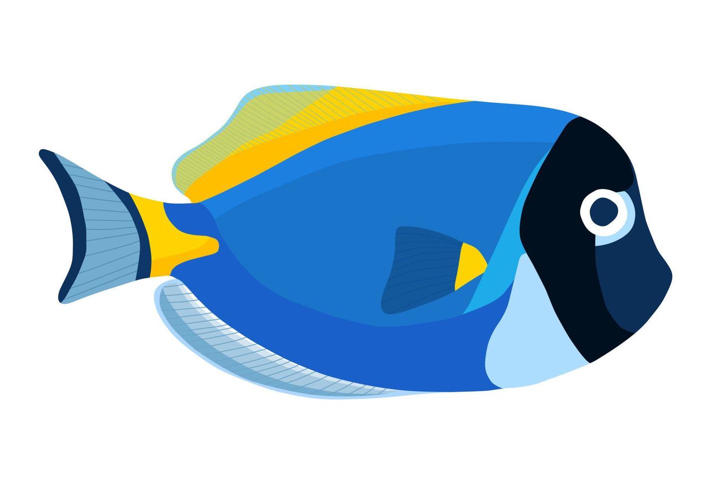 pulver blå tang fisk. acanthurus kirurg fisk ikon vektor