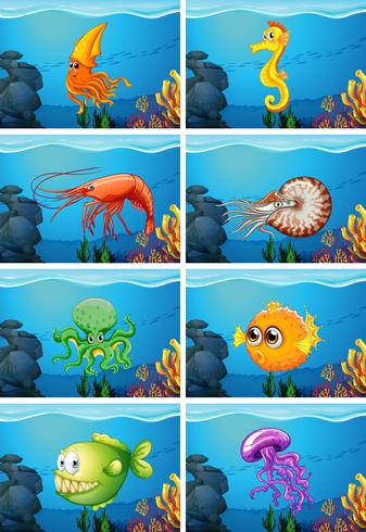 Scener med havsdjur under havet vektor
