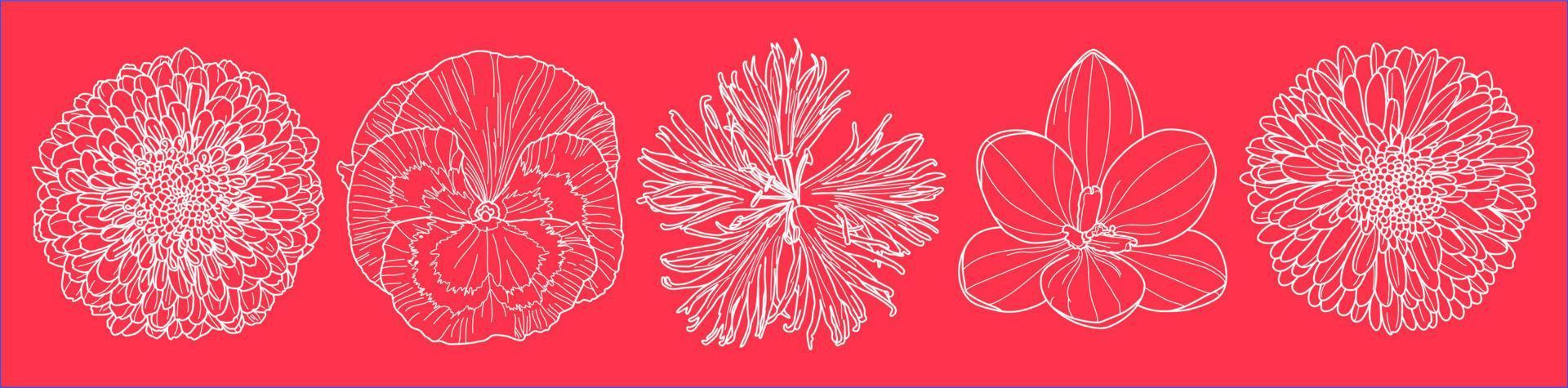 Satz von fünf Herbstblumen skizziert Kunst in Draufsichtschußvektoren gegen auf magentafarbener Tapete vektor