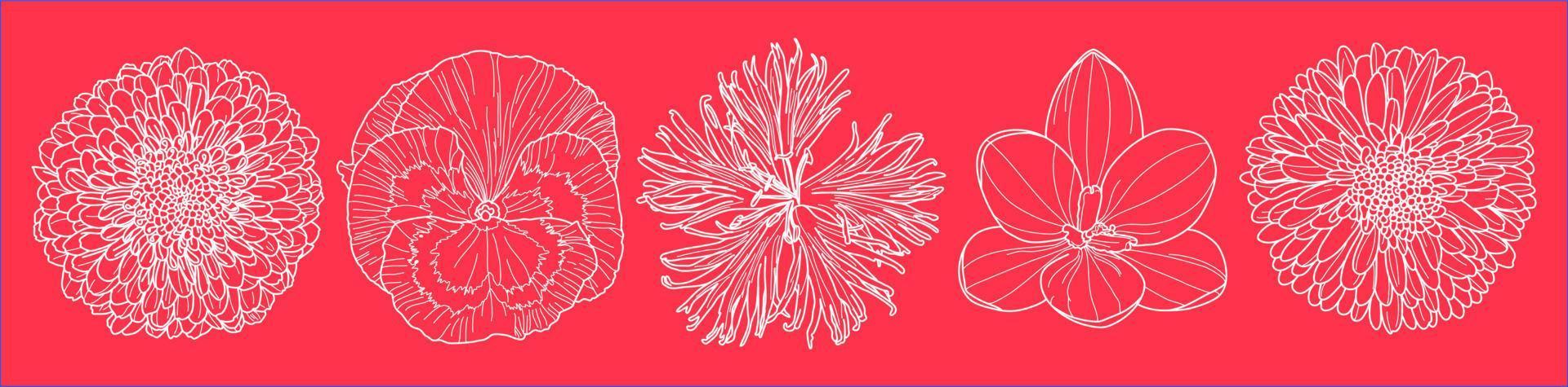 uppsättning av fem höstblommor skisserar konst i ovanifrån skott vektorer mot på magenta tapeter