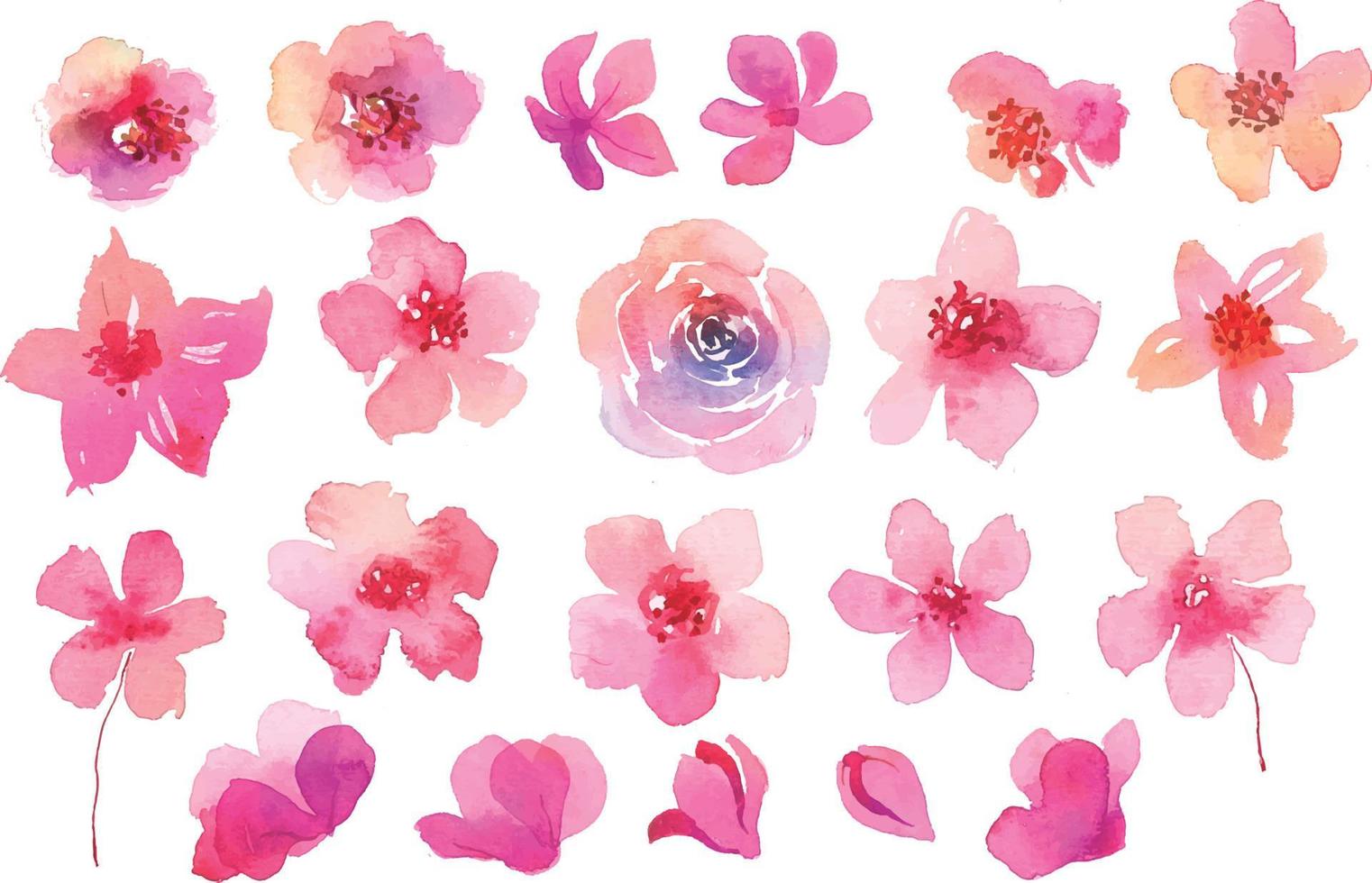Sammlung von rosa Blumen in Aquarell vektor