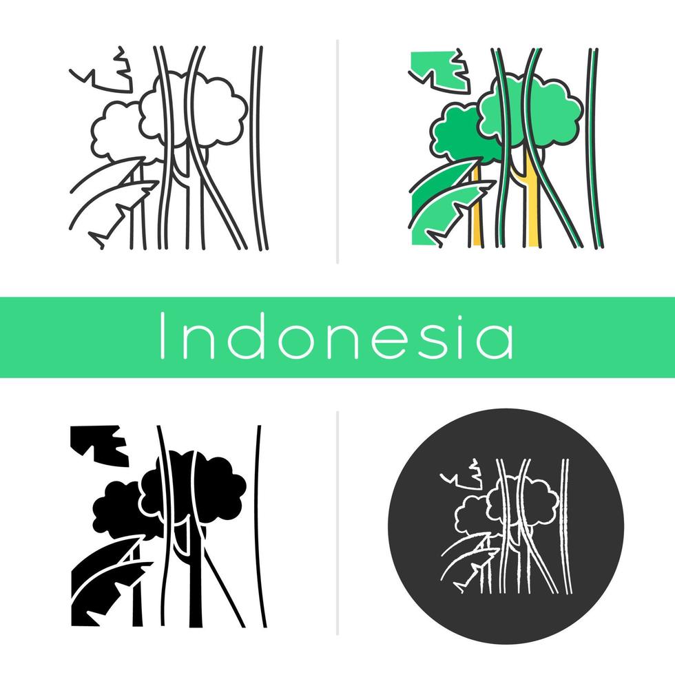 Regenwald-Symbol. exotische Bäume, Pflanzen. Flora der indonesischen Inseln. tropisches Grün. Dschungellianen, Bäume und Palmblätter. lineare, schwarze, Kreide- und Farbstile. isolierte Vektorgrafiken vektor