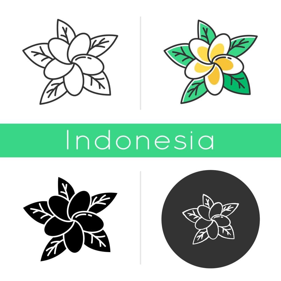 plumeria ikon. exotisk region blommor. flora av indonesiska öar. tropiska växter. blomma av frangipani. balis natur. linjära, svarta, krita och färgstilar. isolerade vektorillustrationer vektor