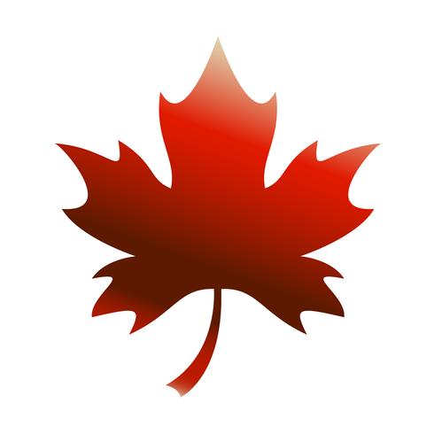 Autumn Maple Leaf-Vektor-Logo vektor