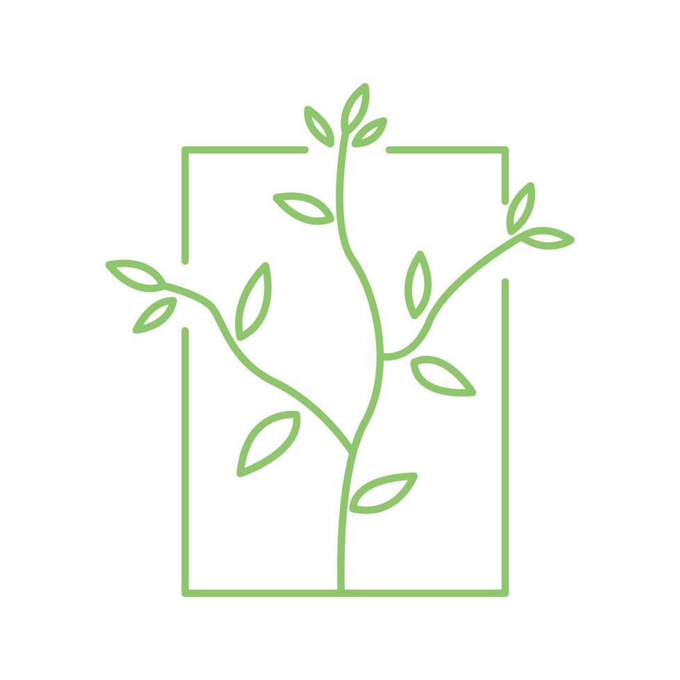 växt träd löv linje med ram enkel grön logotyp symbol ikon vektor grafisk design illustration