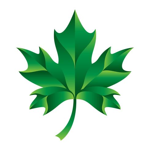 Autumn Maple Leaf-Vektor-Logo vektor