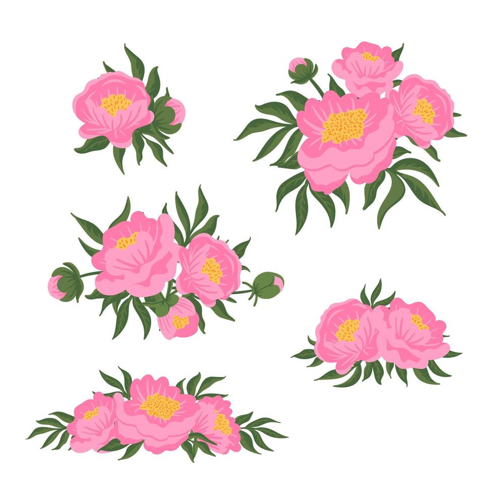 uppsättning av blomkompositioner. rosa pioner med gröna blad. vektor romantisk trädgård illustration. botanisk samling för bröllopsinbjudan, mönster, tapeter, tyg, inslagning