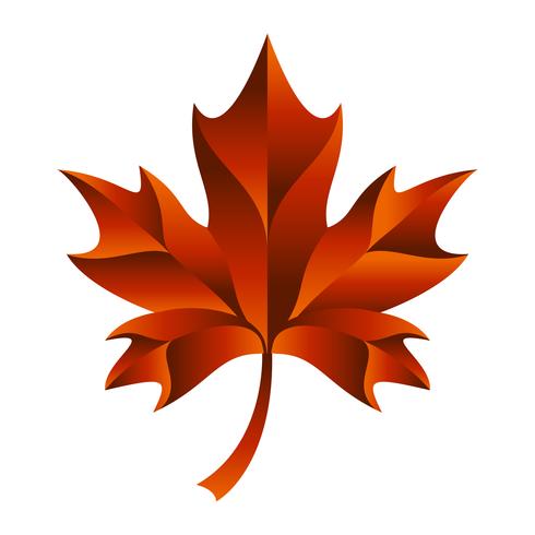 Autumn Maple Leaf-Vektor-Logo vektor