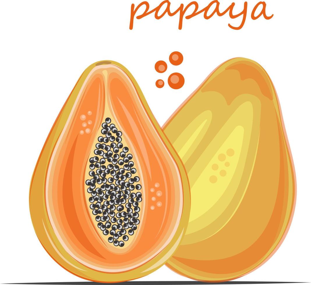 papaya färgglada och saftiga tryck, perfekt för utskrift på alla saker, såväl som användning i sociala nätverk och banners vit bakgrund vektor