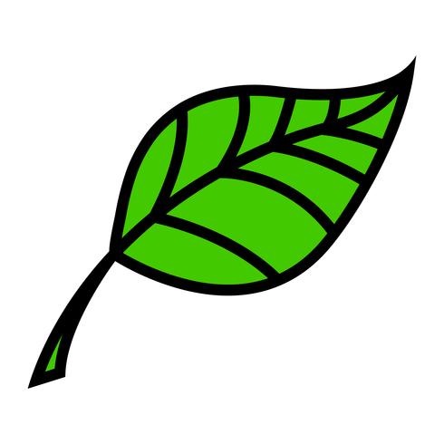 Grünes Blatt-Vektor-Symbol vektor