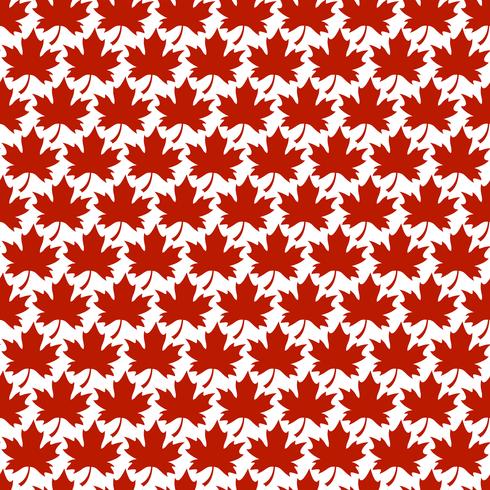 Autumn Maple Leaf-Vektor-Logo vektor