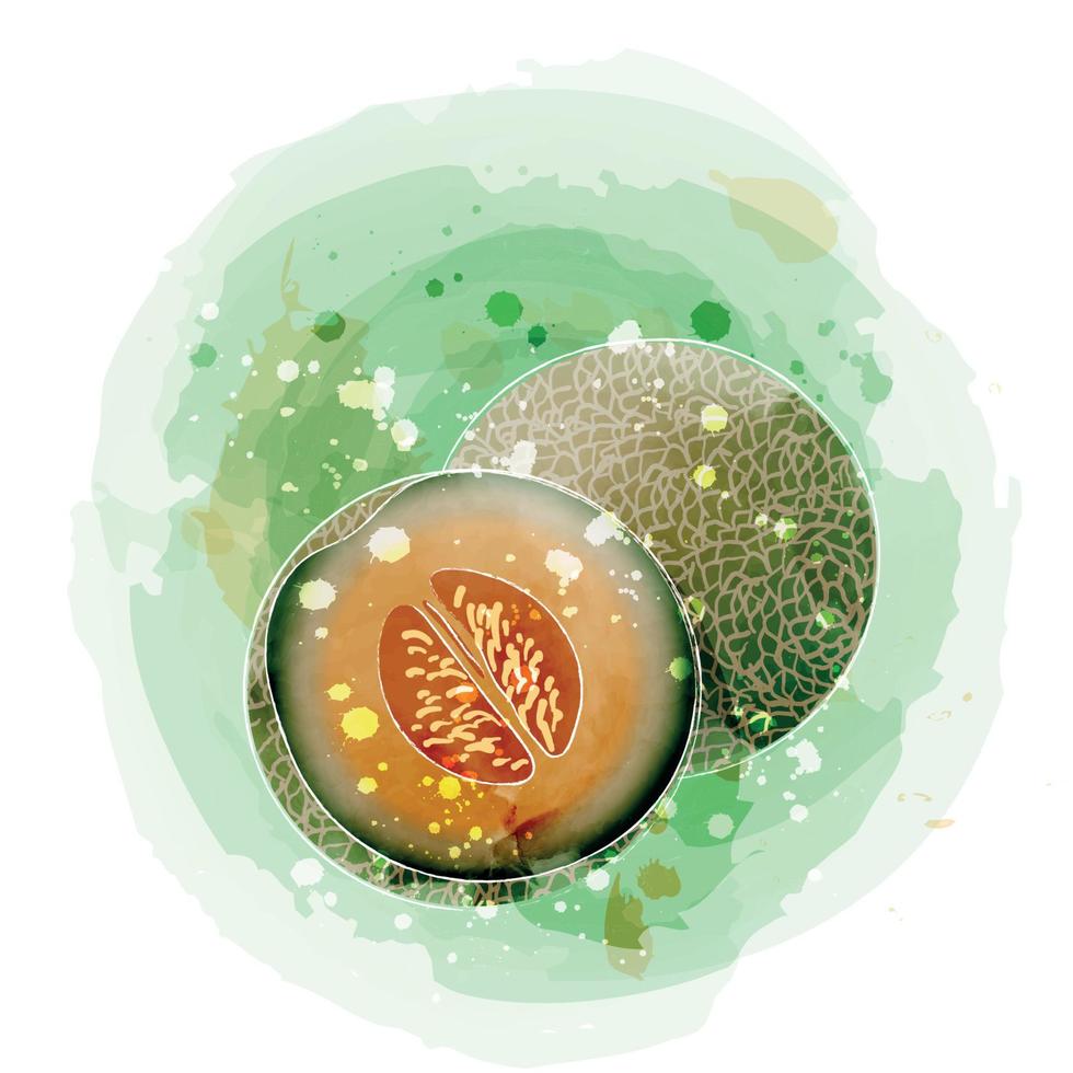 Melonen-Aquarell-Clipart-Illustration mit grünem Hintergrund. vektor