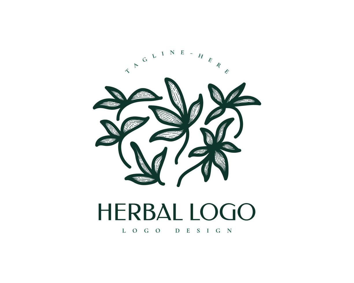 Vintage-Kräuter-Logo-Design. blattillustration für natur-, kosmetik-, gesundheits- und schönheitslogos. abstraktes Wellness-Logo vektor