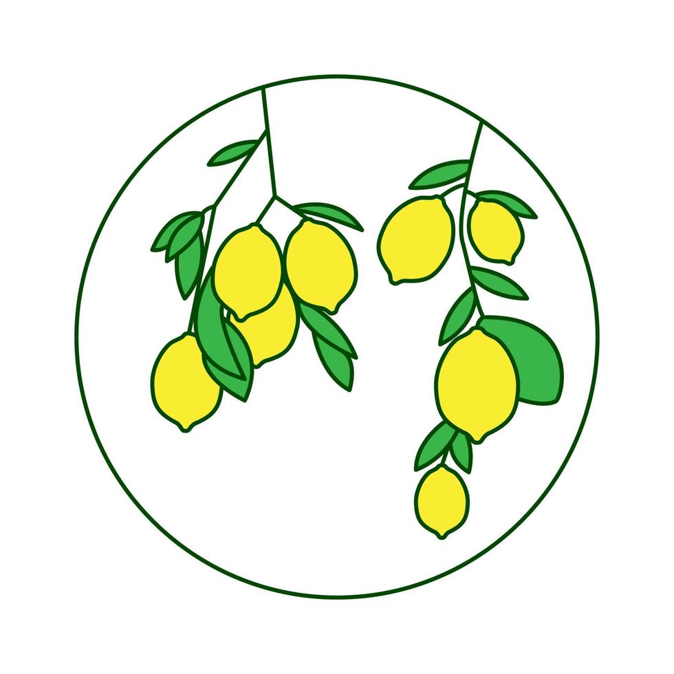 Fruchtzitrone frisch mit Blatt auf Baumlogodesignvektorsymbol-Ikonenillustration vektor