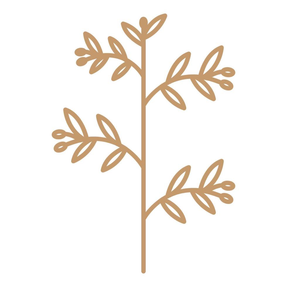 Olivenöl Pflanze Luxus Logo Symbol Vektor Icon Illustration Grafikdesign
