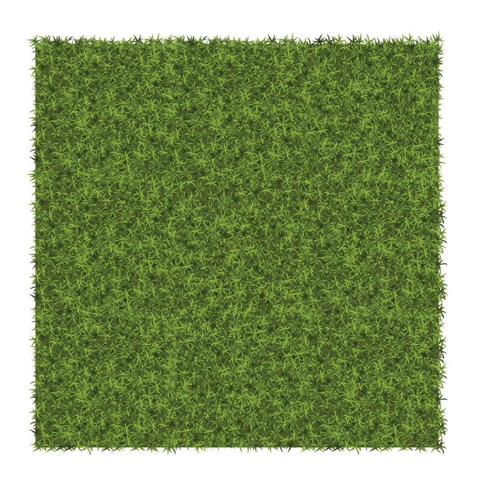 grünes Gras Hintergrund Beispiel für Gras Textur für Muster vektor