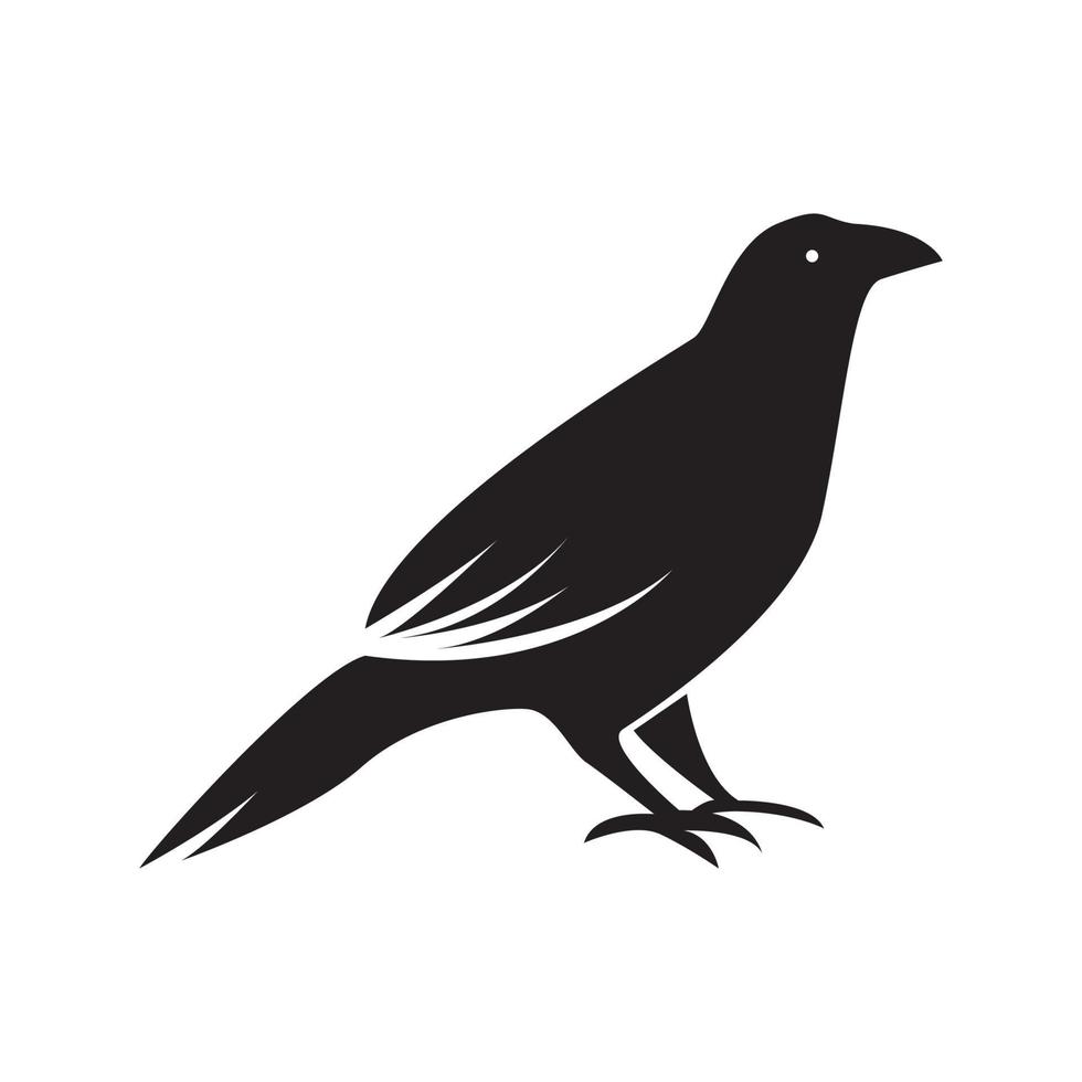schwarz männlich Vogel Rabe Logo Symbol Symbol Vektorgrafik Design Illustration Idee kreativ vektor