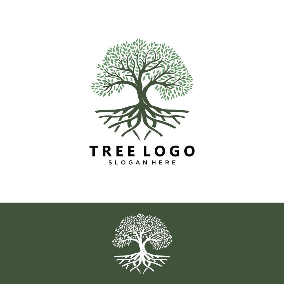 abstrakt levande träd logotyp design, rot vektor - träd av livet logotyp design inspiration isolerad på vit bakgrund.