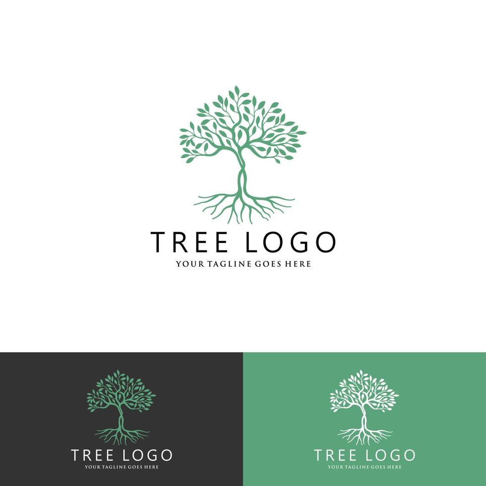 rötter av träd logotyp illustration. träd vektor siluett.