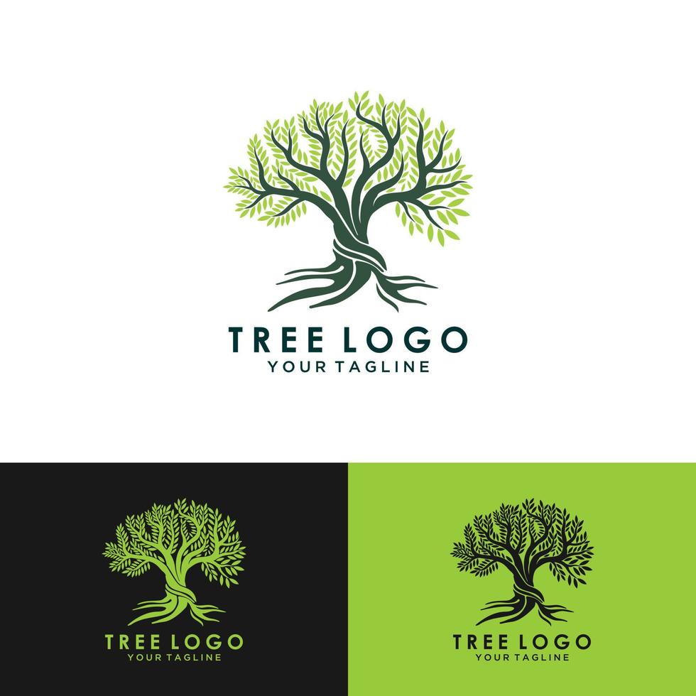 abstraktes lebendiges Baum-Logo-Design, Wurzelvektor - Baum des Lebens-Logo-Design-Inspiration isoliert auf weißem Hintergrund. vektor