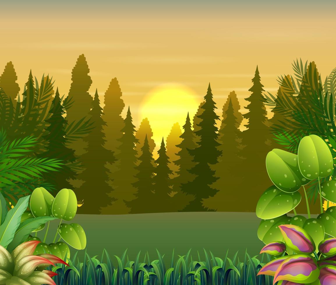 Blick auf Pflanzen und Bäume bei Sonnenuntergang Hintergrund vektor