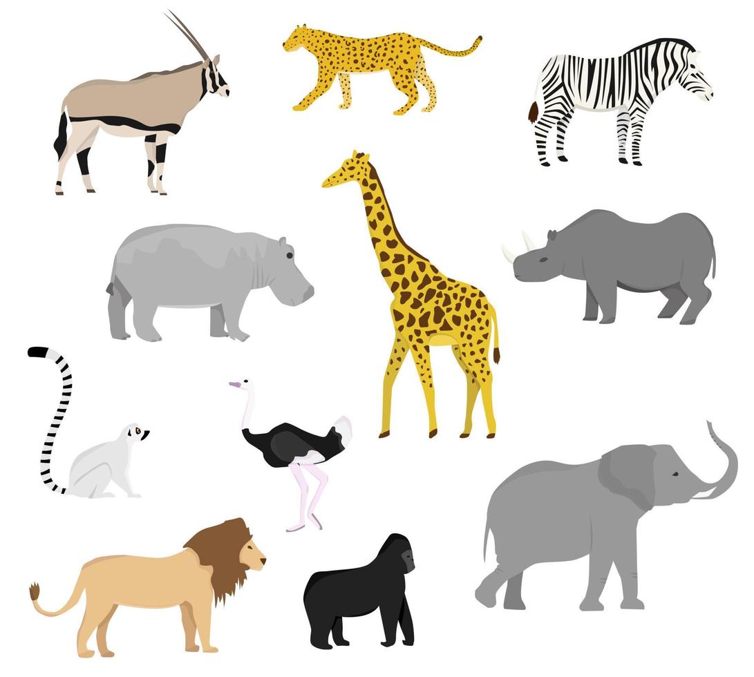 Set mit afrikanischen Wildtieren. flacher Stil. Giraffe, Elefant, Nilpferd, Nashorn, Zebra, Affe, Orang-Utan, Antilope, Gepard, Löwe, Leopard, Strauß. vektor
