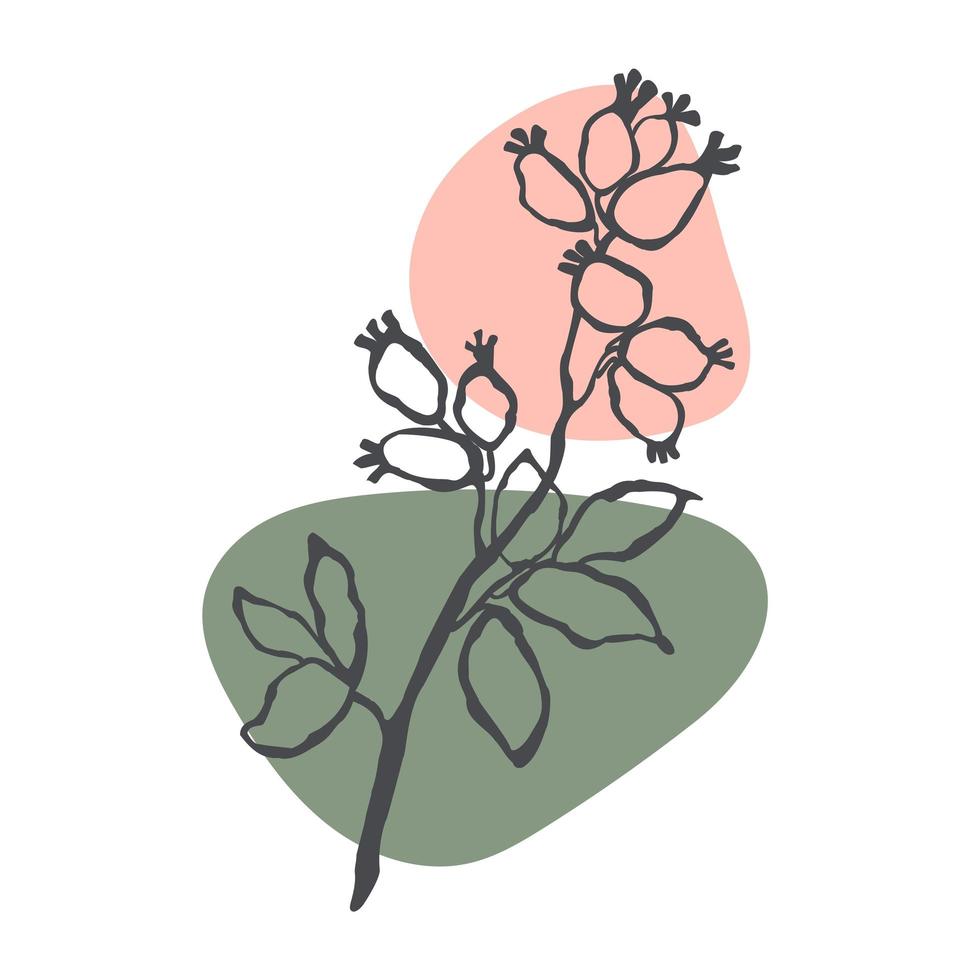 Pflanzen-Hagebutten-Illustration vektor