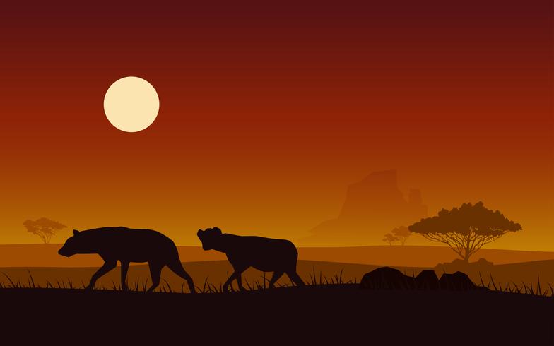 Silhouettieren Sie Hyäne auf einem Hintergrundsonnenuntergang FO Afrika vektor