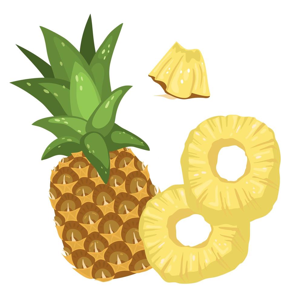 uppsättning ananas. en hel ananas, ringar och skiva isolerad på en vit bakgrund. vektor illustration av tropiska frukter i tecknad stil för förpackningar, menyer och recept