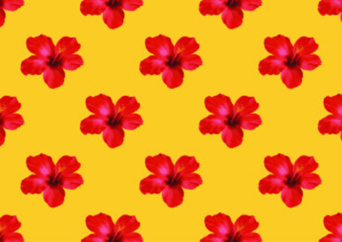 Hibiskus blomma tropisk bakgrund vektor illustration.