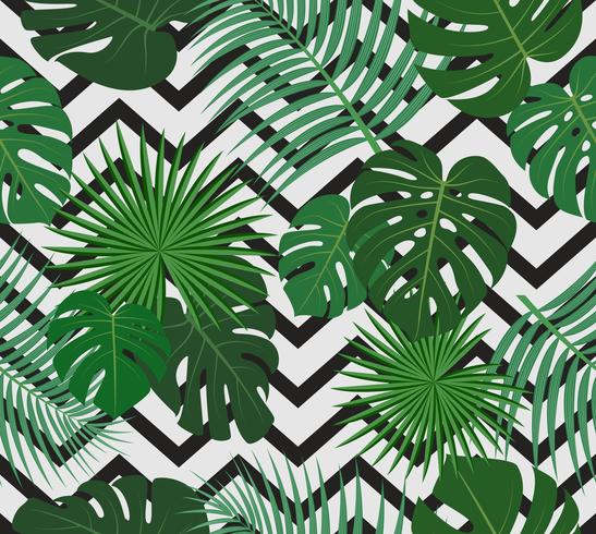 Seamless mönster av exotiska djungel tropiska palmblad på svart och vit zigzag bakgrund - Vektor illustration