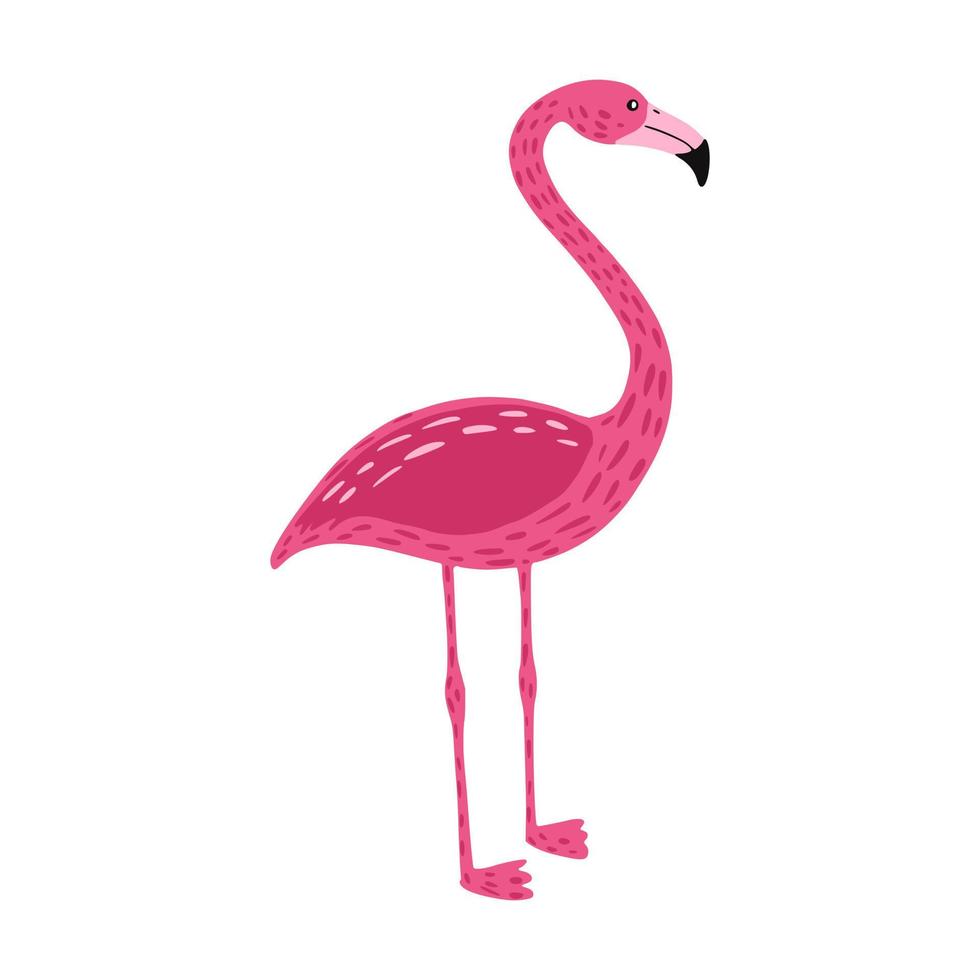 Flamingo steht auf zwei Beinen isoliert auf weißem Hintergrund. süßer Vogel in rosa Farbe mit langem Hals und langen Beinen. exotisches tier aus afrika. im Doodle-Stil vektor