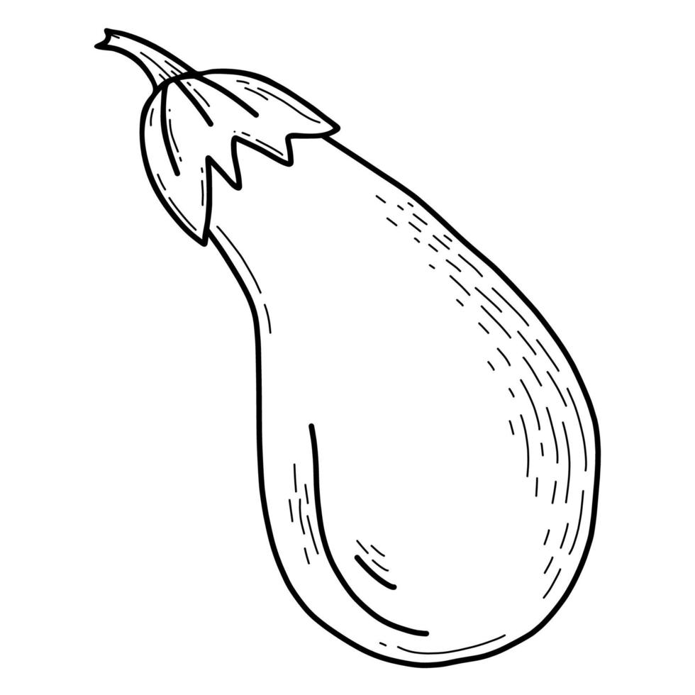 äggplanta. vegetabiliska. vektor illustration. linjär handritning
