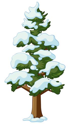Pine tree täcker med snö vektor