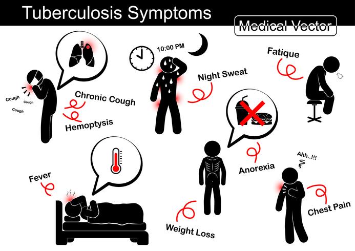 Tuberkulos symptom (kronisk hosta, hemoptys, nattsvett, fetique, feber, viktminskning, anorexi, bröstsmärta etc.) vektor