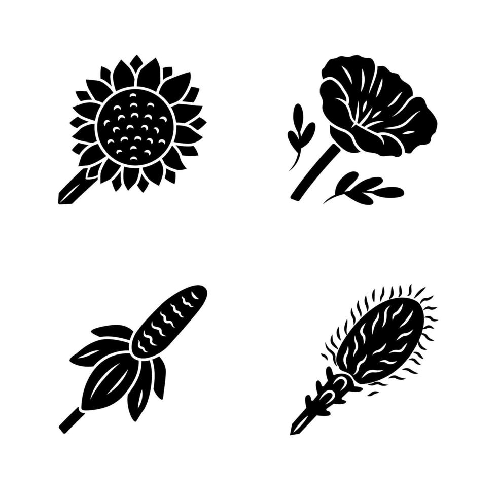vilda blommor glyf ikoner set. helianthus, kalifornisk vallmo, mexikansk hatt, liatris. blommande vildblommor, ogräs. kalflora. vårblomning. siluett symboler. vektor isolerade illustration