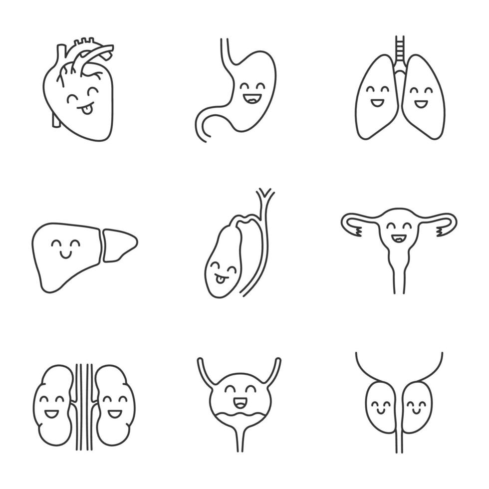 lächelnde menschliche innere organe lineare symbole gesetzt. dünne Linienkontursymbole. Gesundheit der Atmungs-, Harn-, Fortpflanzungs- und Verdauungssysteme. isolierte vektorumrissillustrationen. editierbarer Strich vektor