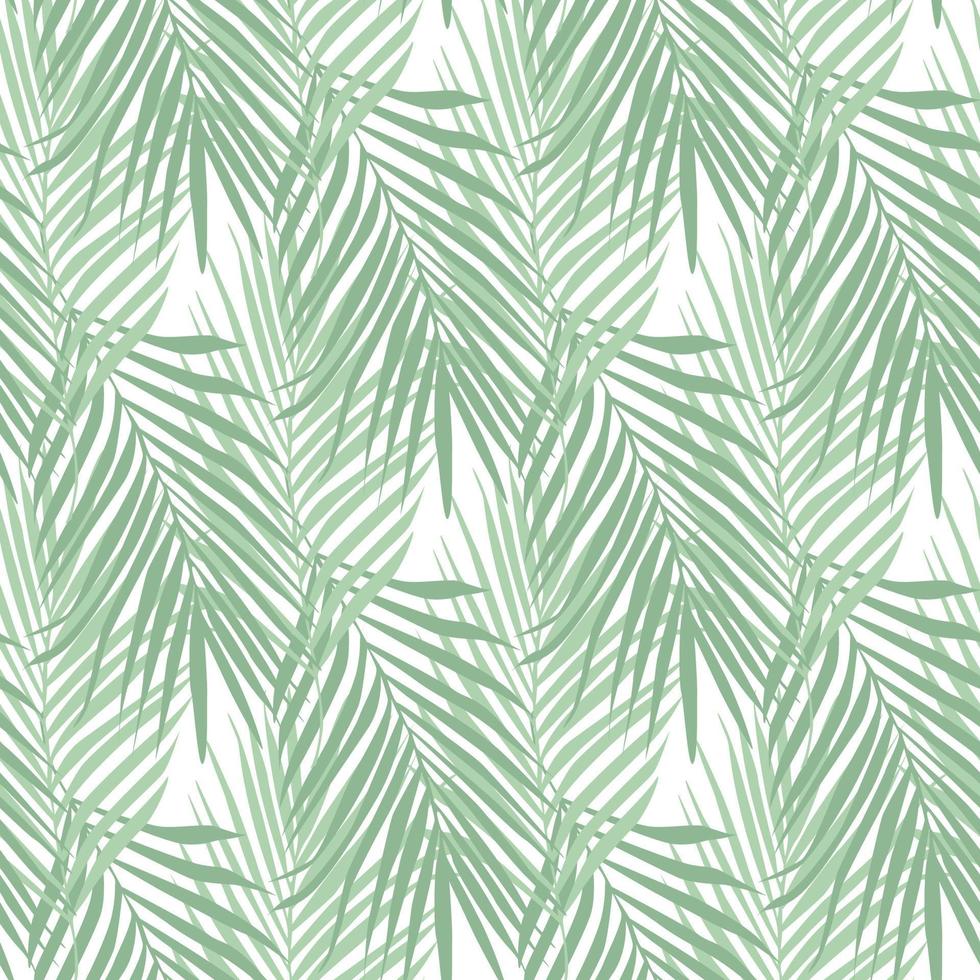 tropisk ormbunke lämnar seamless mönster på vit bakgrund. botaniska vektorillustration. vektor