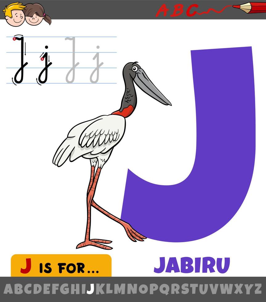 buchstabe j aus dem alphabet mit karikatur-jabiru-vogel-tiercharakter vektor