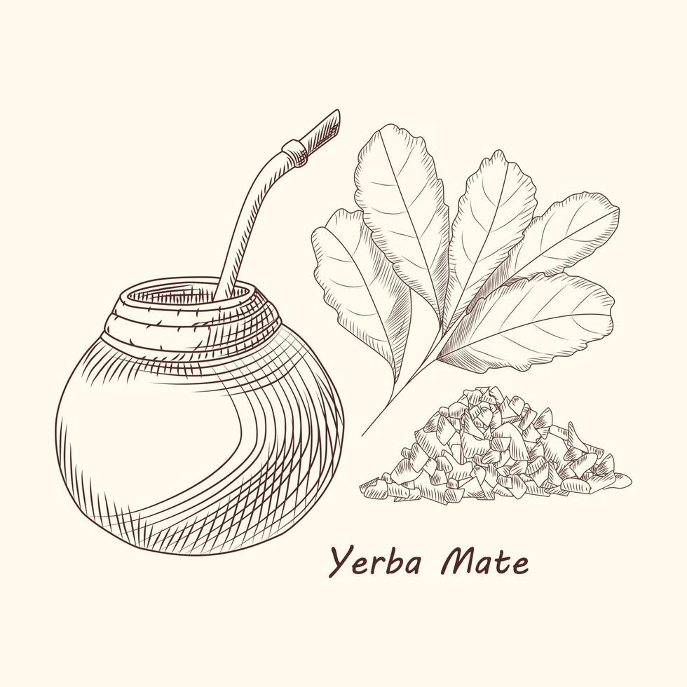 Yerba-Mate-Getränk. traditionelles südamerikanisches getränk. Kalebasse, Bombilla vektor