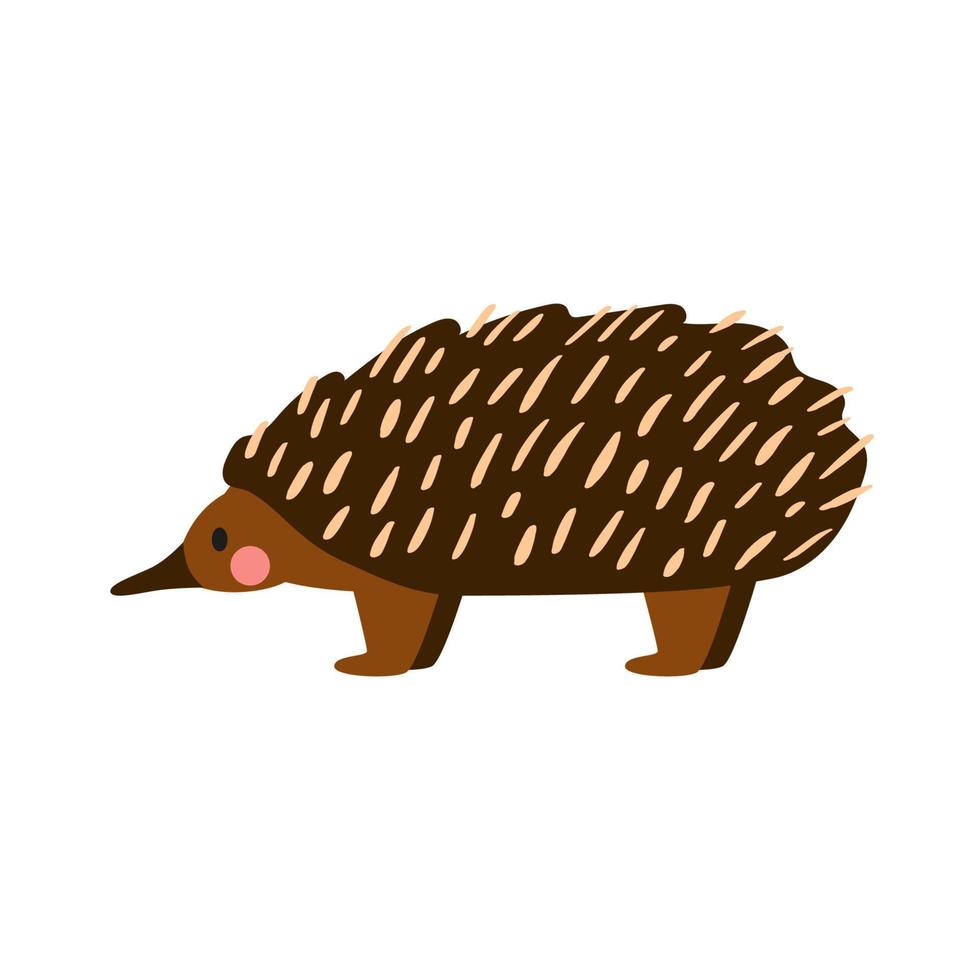 sällsynt australiska djur echidna. söt vektor illustration