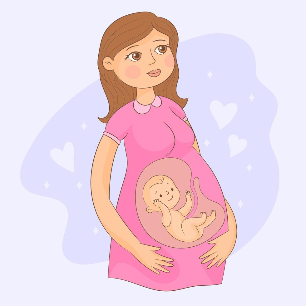 junge mutter erwartet baby. Schwangerschaftszeit. Fötus im Mutterleib. vektor