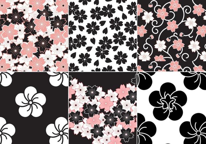 Sakura blomma vektor mönster pack