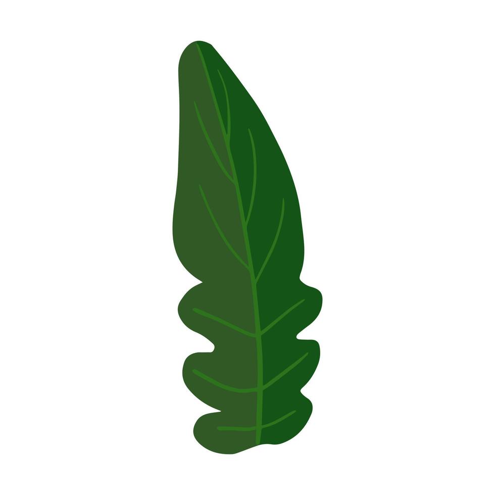 grönt blad isolerad på vit bakgrund. vegan, bondgård, ekologisk, naturlig. grönsaksblad. vektor