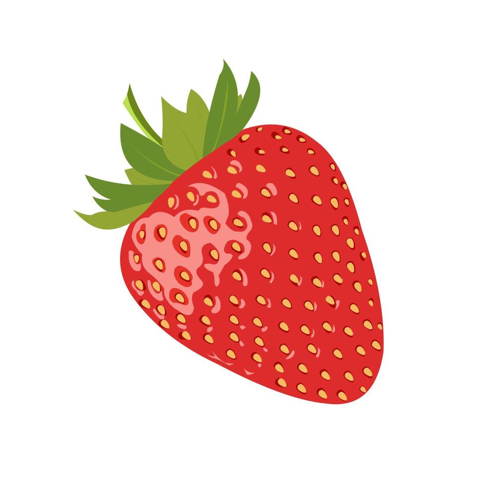 jordgubbe ikonen isolerad på vitt. vektor illustration.